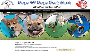 Dogs N Dogs Bark Park is in the conceptual stages as an indoor play facility for dogs.