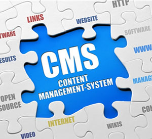Look after your own site using Content Management Systems (CMS).